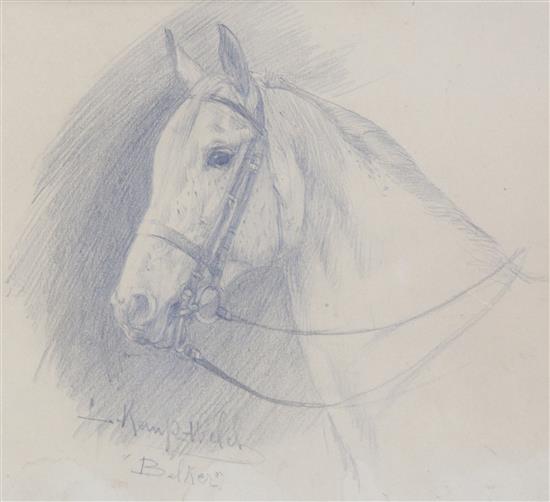 Lucy Kemp-Welch (1869-1958) Study of a horse Belker, 8 x 9.25in.